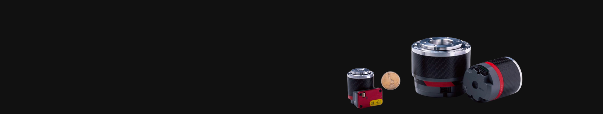 Rotary Actuator